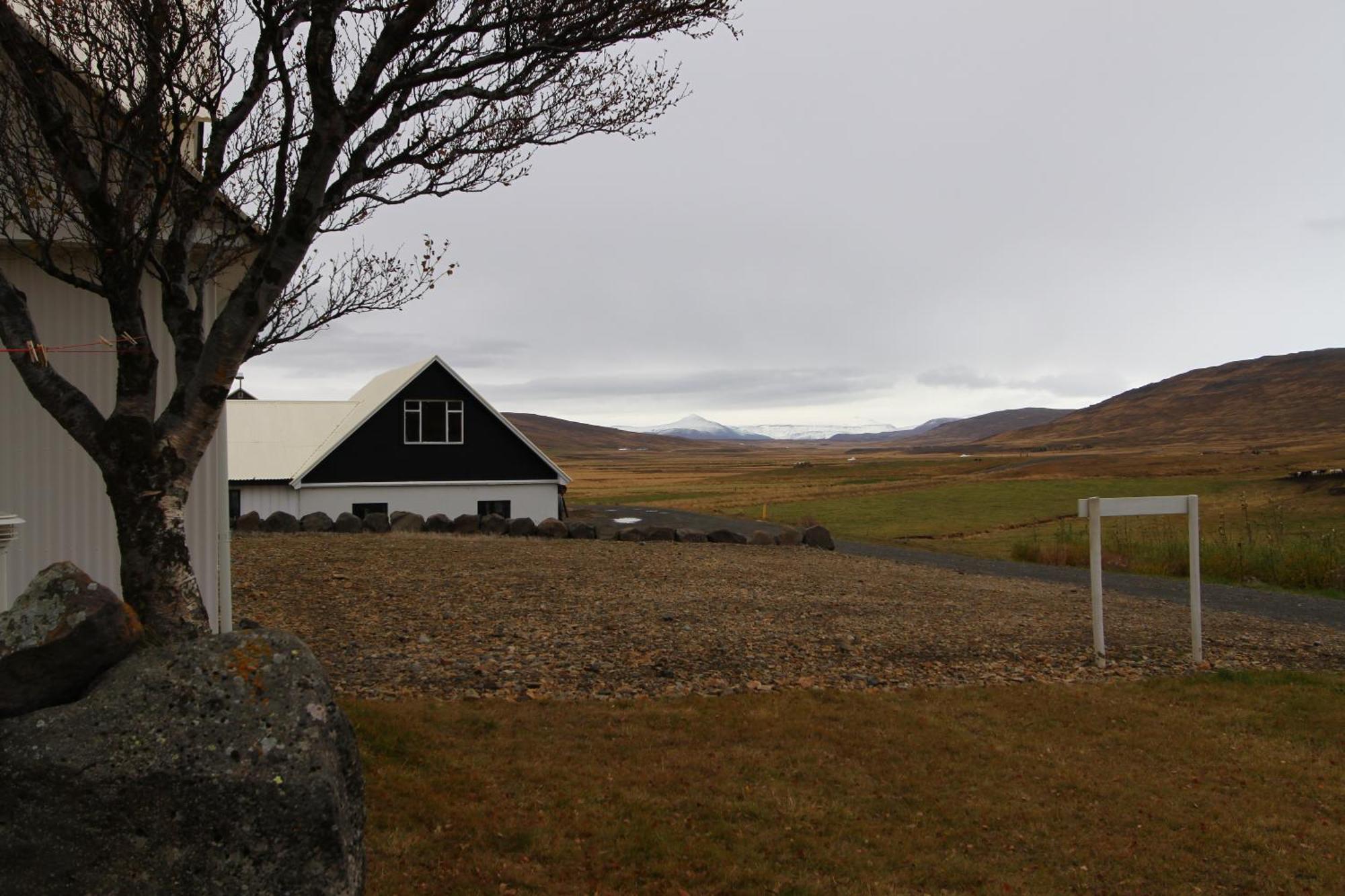 Guesthouse Steindórsstadir Reykholt (Western Iceland) Exterior foto
