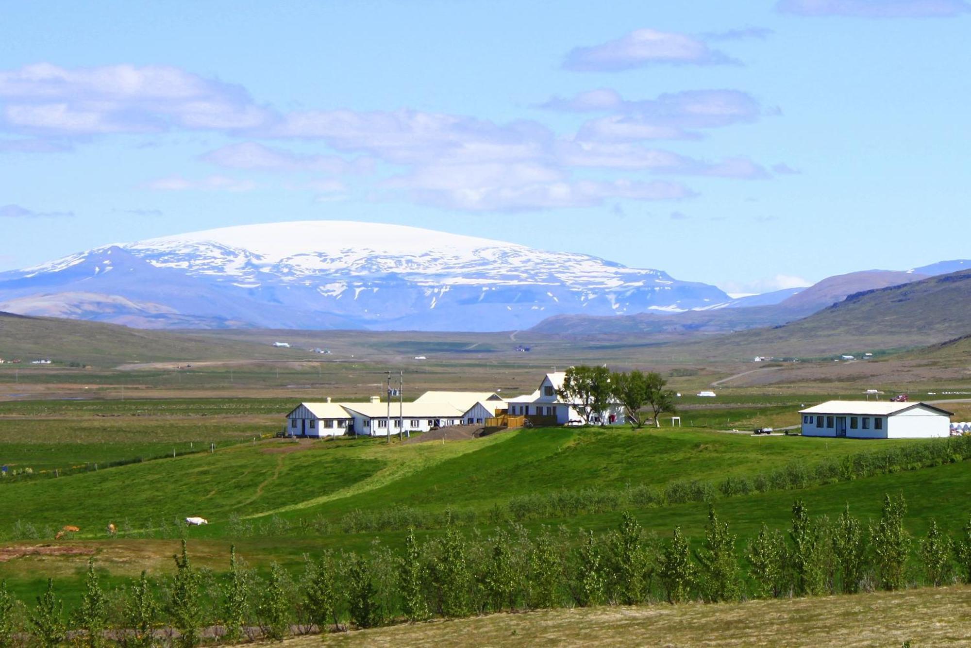 Guesthouse Steindórsstadir Reykholt (Western Iceland) Exterior foto
